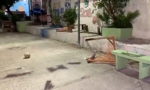 Bandidos chegam atirando em bairro de Manaus e menino é atingido