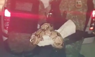 Populares encontram jiboia com mais de 1 metro passeando em rua de Manaus