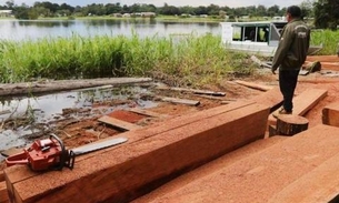 Entidades filantrópicas ganham material apreendido em crimes ambientais