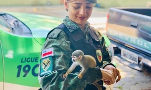 Policiais resgatam filhote de macaco-de-cheiro em Manaus  