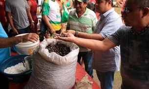 No Amazonas, feira livre impulsiona a economia do setor primário local