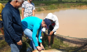 Política de preço do pirarucu pode ser mudada pela Conab no Amazonas