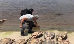 Dez tartarugas são apreendidas e devolvidas ao habitat natural no Amazonas