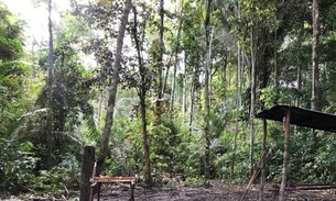 Jovem morre ao ter cabeça atingida em desabamento de árvore no Amazonas