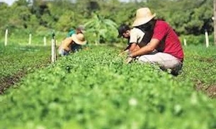 Propriedade agrícola é aceita como prova para aposentadoria de trabalhador rural