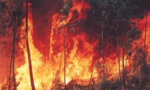 Maioria das queimadas na Amazônia ocorreu em propriedades privadas neste ano, mostra estudo