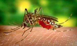 Vírus da zika pode causar complicações neurológicas em adultos, diz estudo