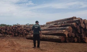 Serraria recebe nova multa de R$ 1,6 milhão por desmatamento no Amazonas 