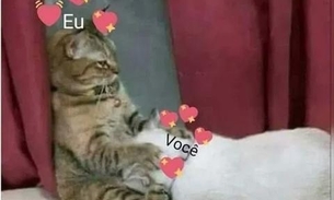 PARA MAIORES DE 18: Memes para mandar para o crush no Dia do Sexo 