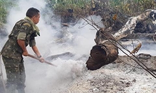 Inpe aponta queda no número de queimadas no Amazonas 