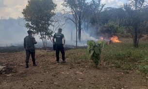 Amazonas cai para 7º no ranking de focos de calor na Amazônia Legal, diz pesquisa