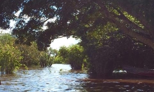 Em Manaus, seminários do Inpa debatem água e impactos da infraestrutura global