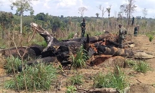 Mais de 1.625 hectares de terra são embargados devido a queimadas no Amazonas 