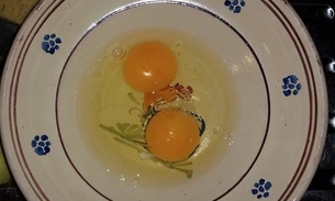 Clara de ovo pode ser benéfica no combate a pressão alta 