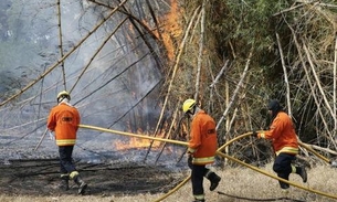 Incêndio atinge parque ecológico em área urbana do Distrito Federal