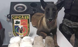 Com apoio de cães, PM apreende maconha e cocaína em balsa na Manaus Moderna