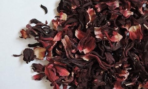 Chá de hibisco ajuda na dieta e combate a TPM