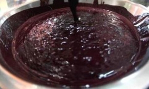 FVS desmente boatos sobre superbactéria contraída por ingestão de açaí em Manaus