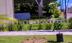 Assembleia Legislativa do Amazonas comemora o Dia da Árvore