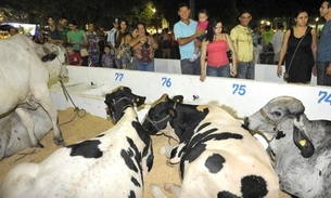 TCE autoriza aluguel parcial de equipamentos para Expoagro em Manaus