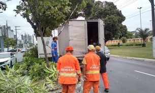 Árvores são podadas na avenida Efigênio Salles em Manaus 