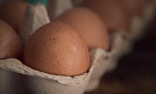 Pode comer ovo cru? Nutricionistas respondem