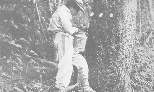 Dependente de soldado da borracha pode acumular pensão e aposentadoria por idade