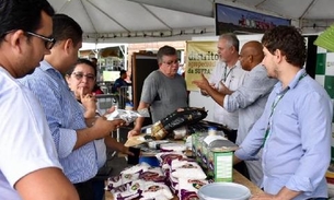 Suframa anuncia concessão de lotes no Distrito Agropecuário a partir de R$ 61/ha