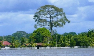 Senador repercute artigo de professor da Ufam e pergunta quem paga pelo clima