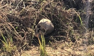 Ossada humana é encontrada próximo a estaleiro em Manaus