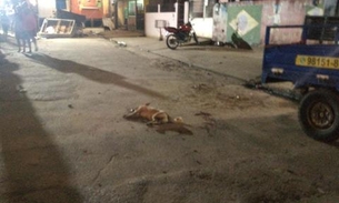 Guerra entre facções deixa um cachorro morto e um homem baleado em Manaus