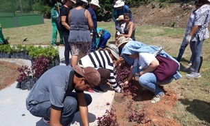  Minicurso de jardinagem e paisagismo tem inscrições abertas em Manaus
