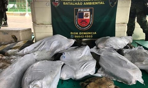 Mais de 1 tonelada de pescado ilegal é encontrada em barcos em porto de Manaus