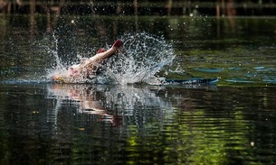 Cresce número de turistas em visita ao Amazonas
