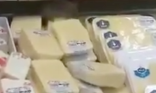Vídeo: Rato é flagrado roendo queijo em prateleira de supermercado