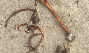 Banhistas encontram partes de ossada humana em praia de Manaus