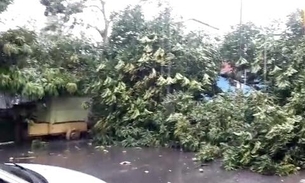 Bombeiros registram 20 ocorrências após temporal causar estragos em Manaus