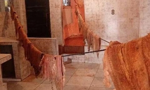 Mais de meia tonelada de pescado ilegal é apreendida em casa de Manaus