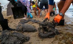 Pesquisadores criam técnica para usar manchas de óleo das praias em asfalto