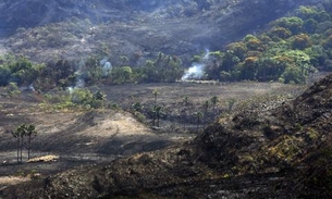 Operação Pudim desarticula exploração ilegal de madeira em Rondônia