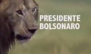 Em vídeo, Bolsonaro se compara a leão atacado por hienas do STF, PSL, PT e ONU