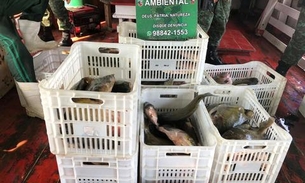 Batalhão Ambiental apreende mais de 1.350 Kg de pescado e carne ilegal em porto de Manaus