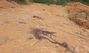 Com vários 'buracos' pelo corpo, jovem é achado morto em barranco de invasão em Manaus
