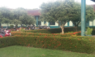 Amazonas tem representantes da UEA com artigos publicados em congresso