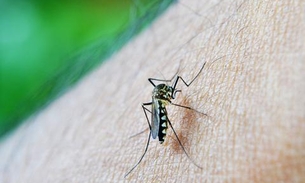 Europa registra primeiro caso de dengue transmitida por relação sexual