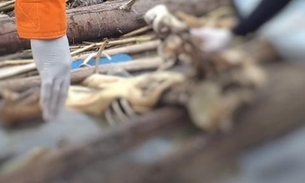 Ossada humana é achada às margens de rio no Amazonas