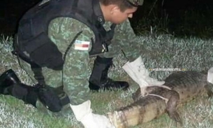 Jacaré surge no meio da rua e deixa populares desesperados no Centro de Manaus