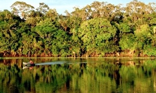 Capes vai liberar R$ 7 milhões para pesquisas na Amazônia Legal