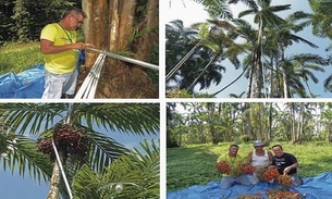 Pesquisadores do Inpa ganham Prêmio Samuel Benchimol e Banco da Amazônia