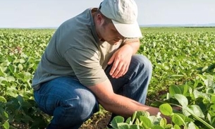 Governo planeja mudanças no seguro agropecuário